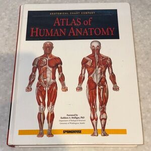 Atlas of Human Anatomy Book
